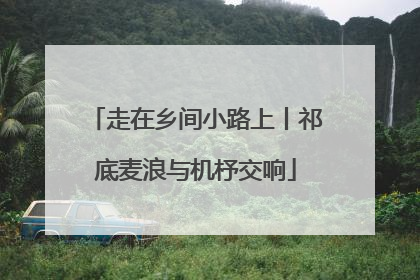 走在乡间小路上丨祁底麦浪与机杼交响