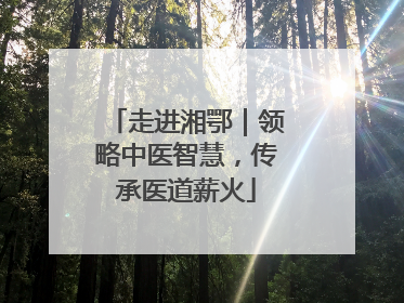 走进湘鄂｜领略中医智慧，传承医道薪火