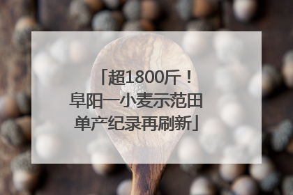 超1800斤!阜阳一小麦示范田单产纪录再刷新