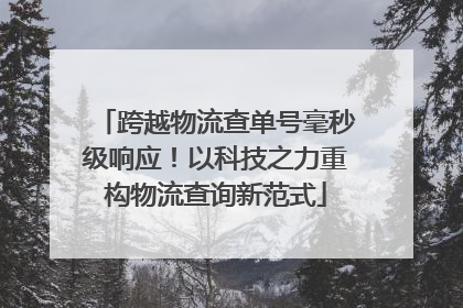跨越物流查单号毫秒级响应！以科技之力重构物流查询新范式