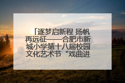 逐梦启新程 扬帆再远征——合肥市新城小学第十八届校园文化艺术节“戏曲进校园专场演出”