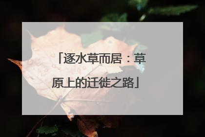 逐水草而居：草原上的迁徙之路