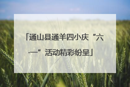 通山县通羊四小庆“六·一”活动精彩纷呈