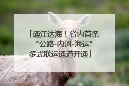 通江达海！省内首条“公路-内河-海运”多式联运通道开通
