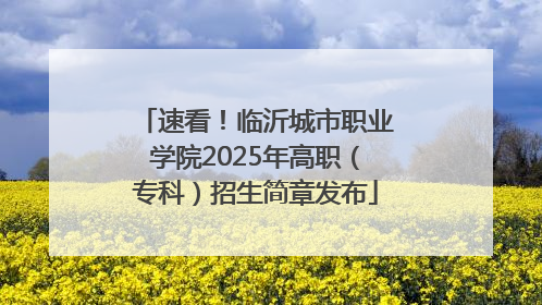 速看！临沂城市职业学院2025年高职（专科）招生简章发布