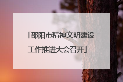 邵阳市精神文明建设工作推进大会召开