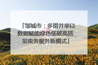 邹城市：多措并举以数据赋能绿色低碳高质量政务服务新模式