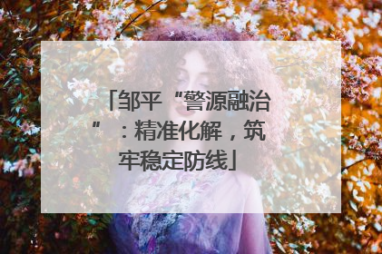 邹平“警源融治”：精准化解，筑牢稳定防线