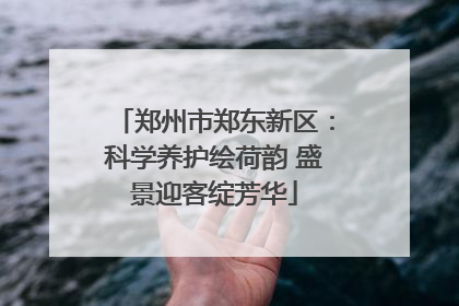 郑州市郑东新区：科学养护绘荷韵 盛景迎客绽芳华