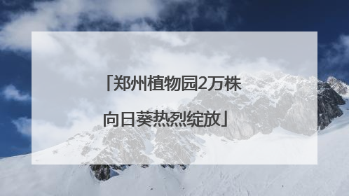 郑州植物园2万株向日葵热烈绽放