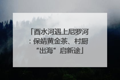 酉水河遇上尼罗河：保靖黄金茶、村厨“出海”启新途