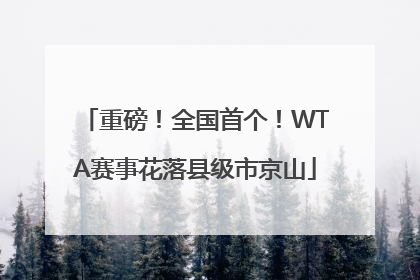 重磅！全国首个！WTA赛事花落县级市京山
