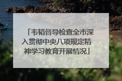 韦韬督导检查全市深入贯彻中央八项规定精神学习教育开展情况