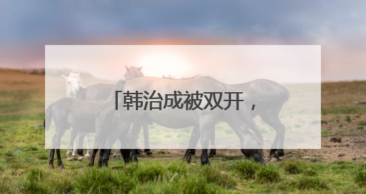 韩治成被双开，“长期对组织隐瞒真实年龄”