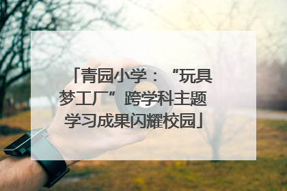 青园小学：“玩具梦工厂”跨学科主题学习成果闪耀校园