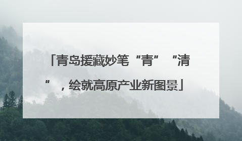 青岛援藏妙笔“青”“清”，绘就高原产业新图景