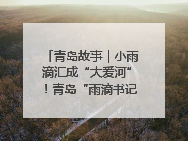 青岛故事｜小雨滴汇成“大爱河”！青岛“雨滴书记”的1000场公益长跑路