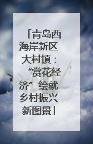 青岛西海岸新区大村镇：“赏花经济”绘就乡村振兴新图景