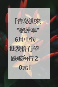 青岛迎来“榴莲季” 6月中旬批发价有望跌破每斤20元