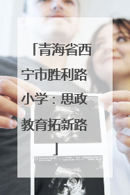 青海省西宁市胜利路小学：思政教育拓新路