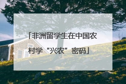 非洲留学生在中国农村学“兴农”密码