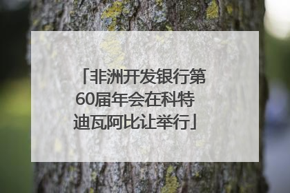 非洲开发银行第60届年会在科特迪瓦阿比让举行