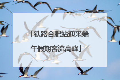 铁路合肥站迎来端午假期客流高峰