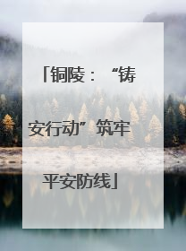 铜陵：“铸安行动”筑牢平安防线