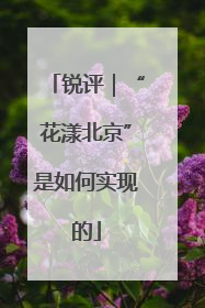 锐评｜“花漾北京”是如何实现的