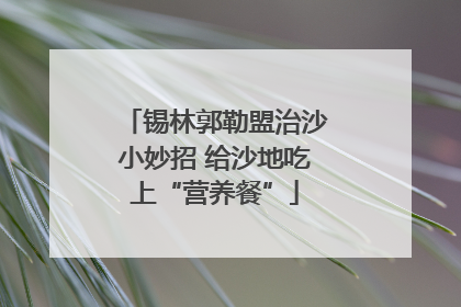 锡林郭勒盟治沙小妙招 给沙地吃上“营养餐”