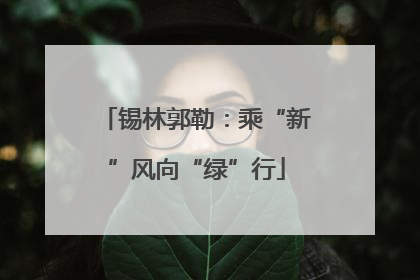 锡林郭勒：乘“新”风向“绿”行