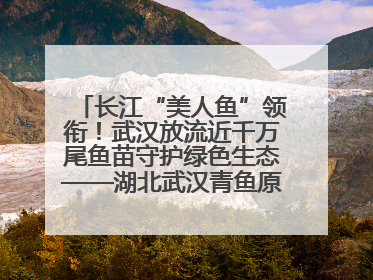 长江“美人鱼”领衔！武汉放流近千万尾鱼苗守护绿色生态——湖北武汉青鱼原种场参加2025年“全国放鱼日”增殖放流活动