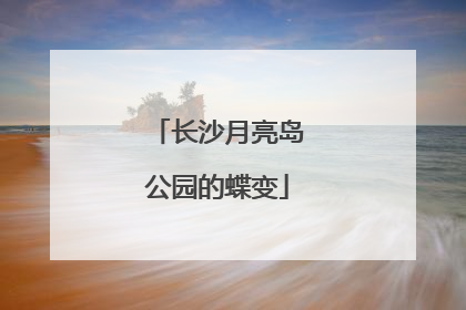 长沙月亮岛公园的蝶变