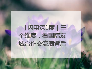 闪电深1度｜三个维度，看国际友城合作交流周背后的山东开放