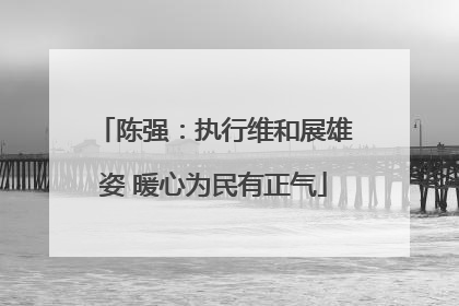 陈强：执行维和展雄姿 暖心为民有正气