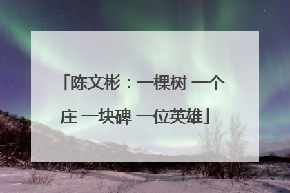 陈文彬：一棵树 一个庄 一块碑 一位英雄