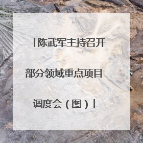 陈武军主持召开部分领域重点项目调度会（图）