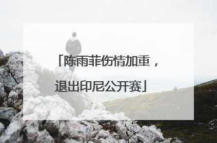 陈雨菲伤情加重，退出印尼公开赛