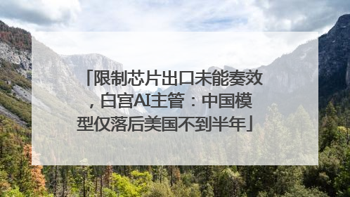 限制芯片出口未能奏效，白宫AI主管：中国模型仅落后美国不到半年