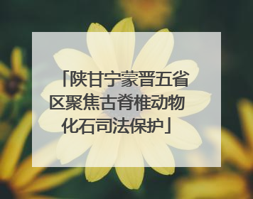 陕甘宁蒙晋五省区聚焦古脊椎动物化石司法保护