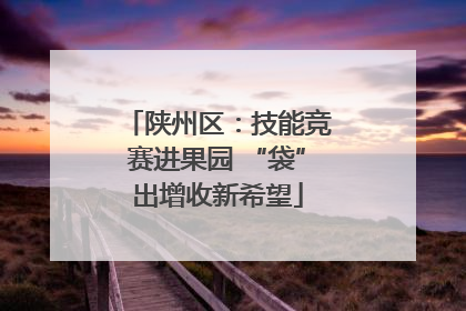 陕州区：技能竞赛进果园 “袋”出增收新希望