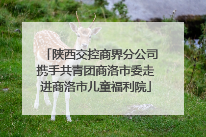 陕西交控商界分公司携手共青团商洛市委走进商洛市儿童福利院