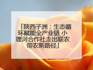 陕西子洲：生态循环赋能全产业链 小理河合作社走出联农带农新路径
