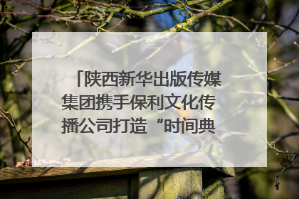 陕西新华出版传媒集团携手保利文化传播公司打造“时间典藏”数字艺术馆