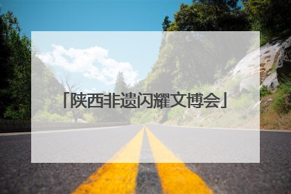 陕西非遗闪耀文博会