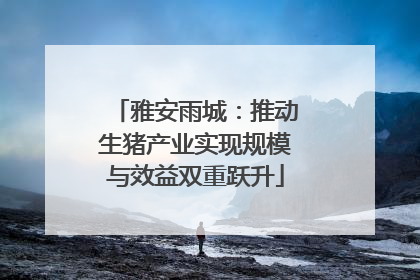 雅安雨城：推动生猪产业实现规模与效益双重跃升