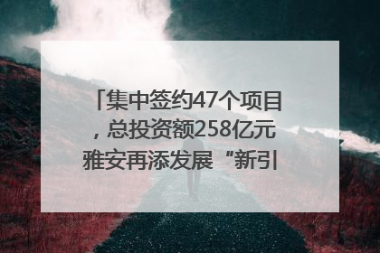 集中签约47个项目，总投资额258亿元 雅安再添发展“新引擎”｜数读西投