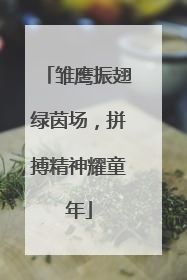 雏鹰振翅绿茵场，拼搏精神耀童年