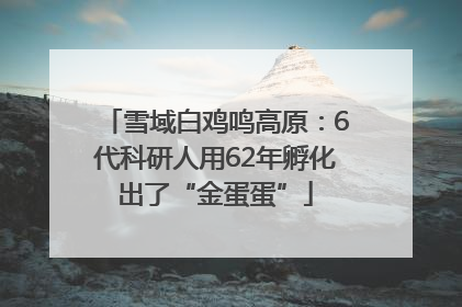 雪域白鸡鸣高原：6代科研人用62年孵化出了“金蛋蛋”