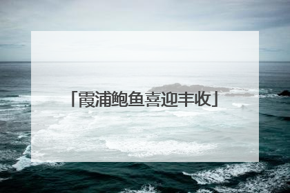 霞浦鲍鱼喜迎丰收